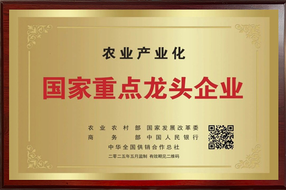 图片1-1 图片1-1